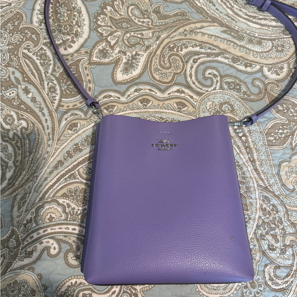 Coach Mollie Bucket 22 in Silver Violet